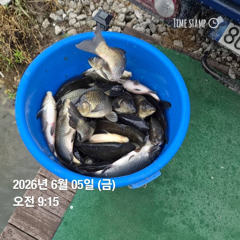1780620800007.jpg