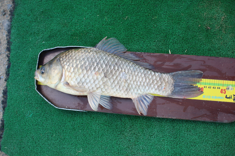 ũ�⺯ȯ_IMG_8399.JPG