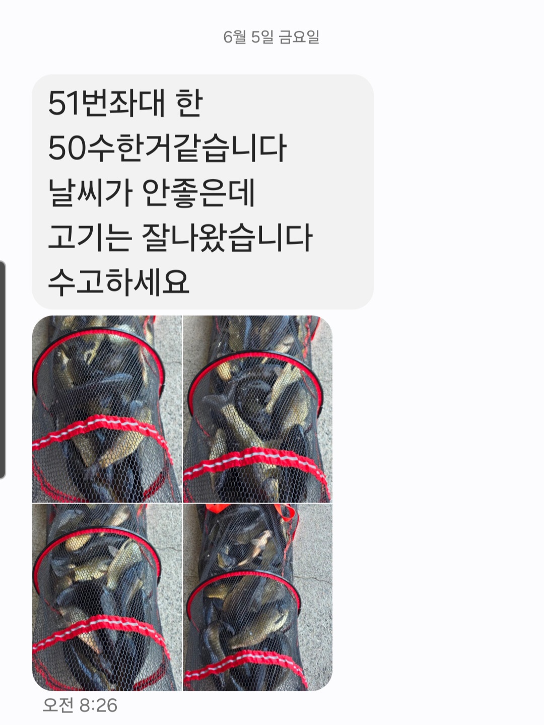 KakaoTalk_20260605_105448102.jpg
