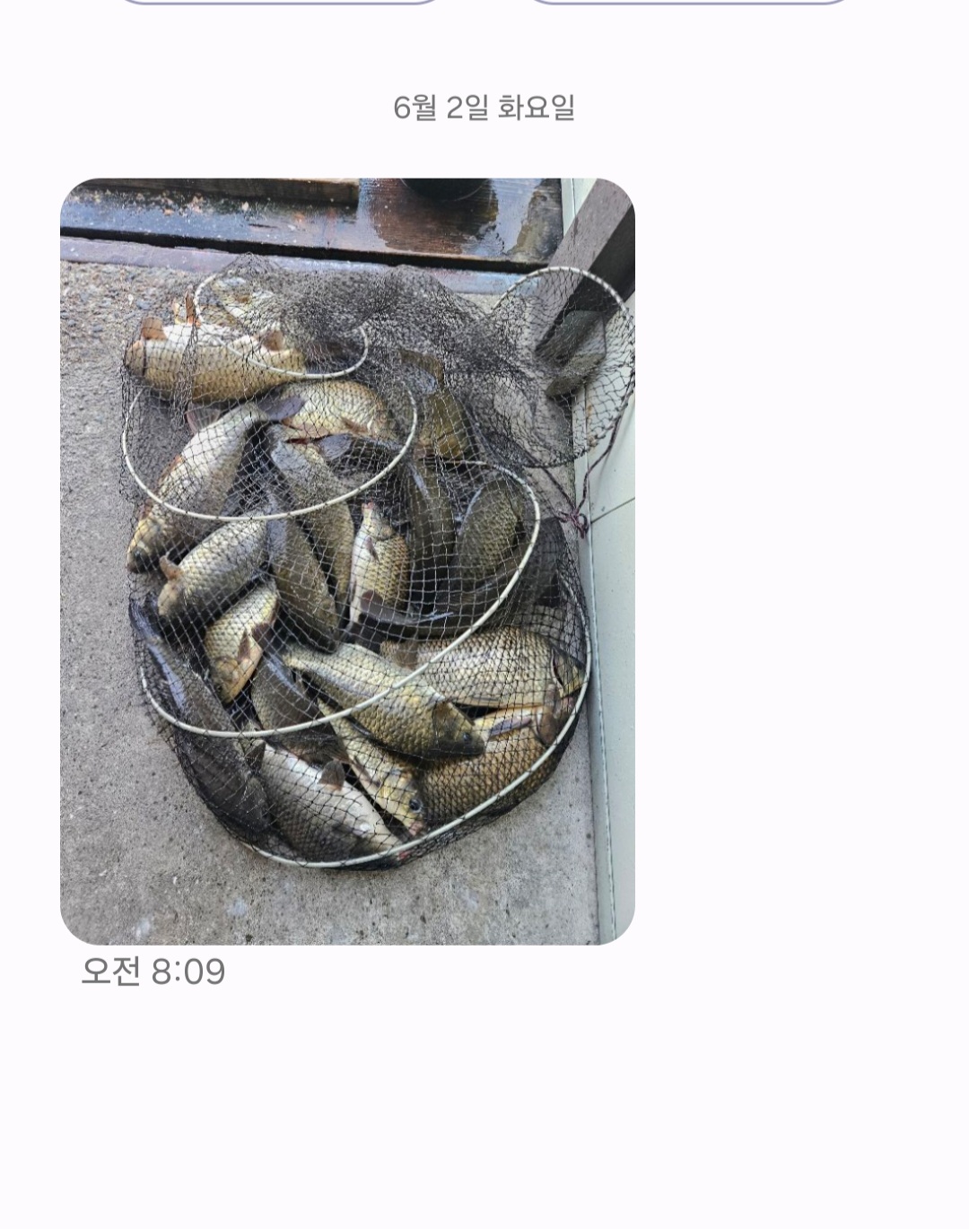Screenshot_20260602_091405_Messages.jpg