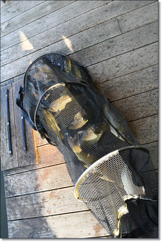DSC_6993.JPG