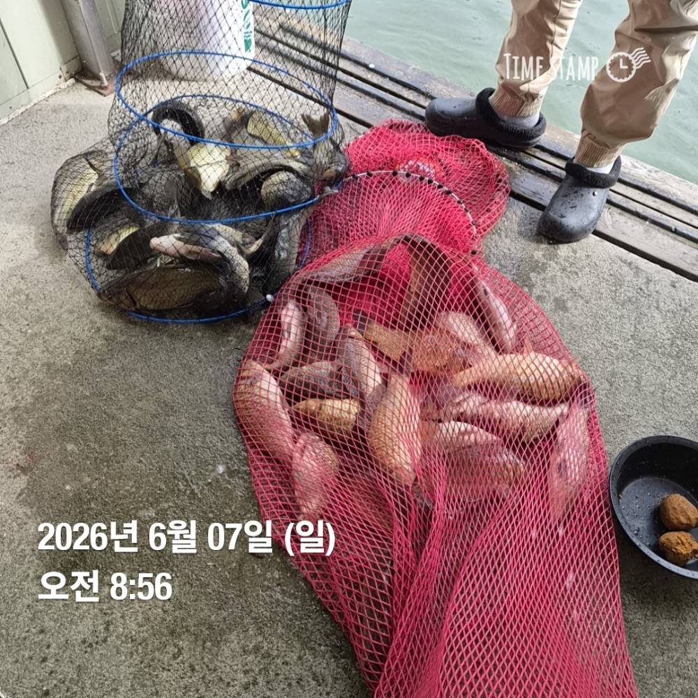 1780874217956.jpg