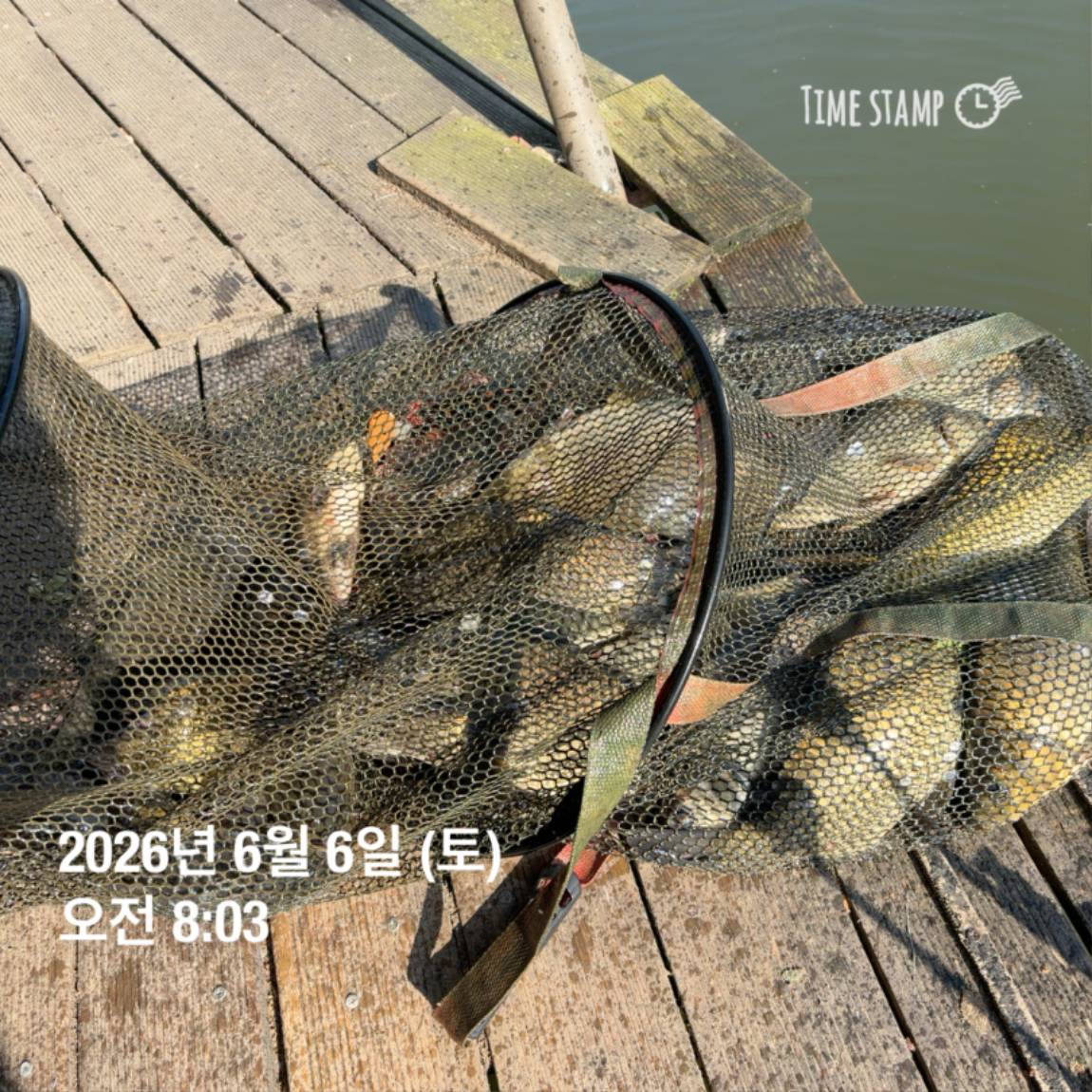 KakaoTalk_20260608_110734014_02.jpg