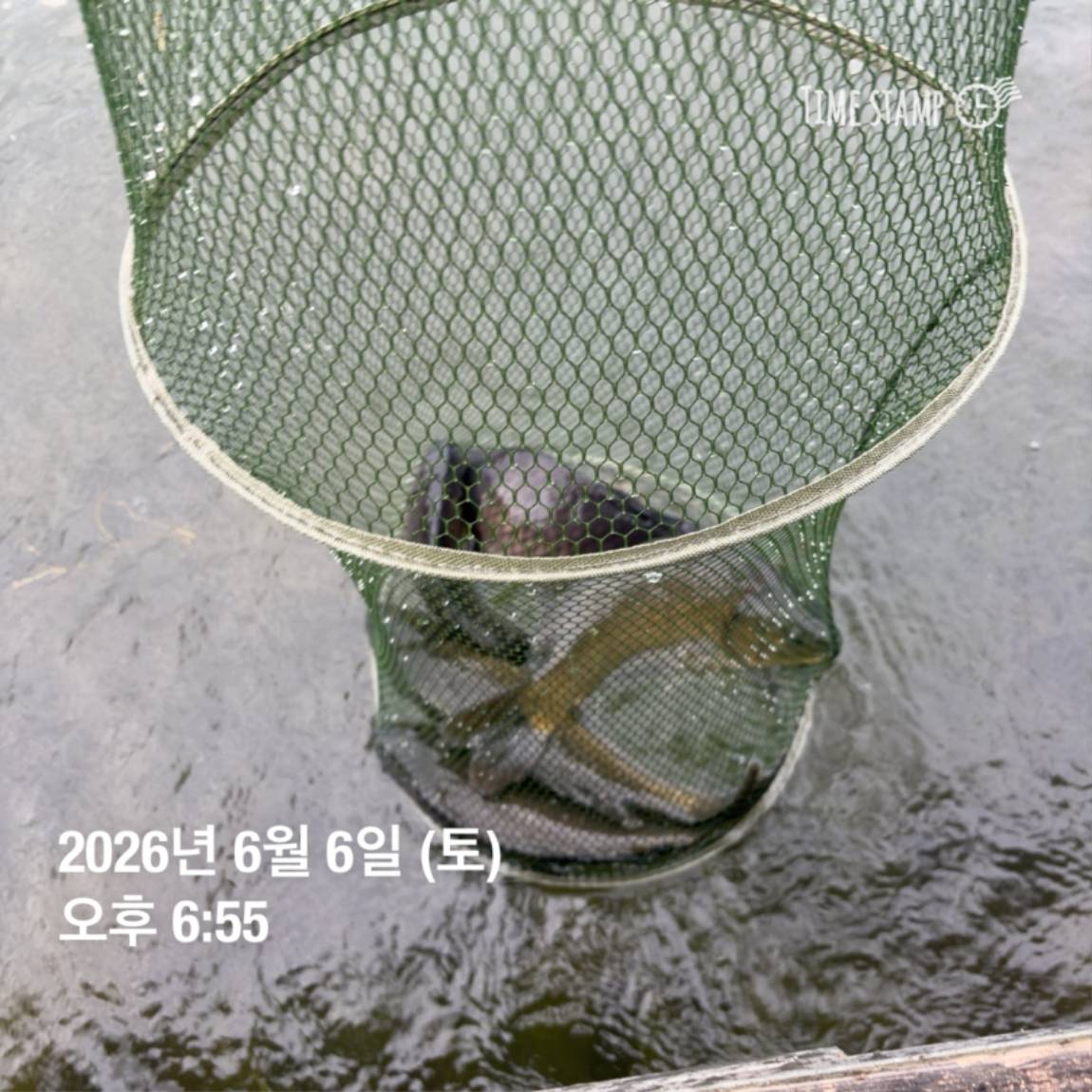 KakaoTalk_20260608_110734014_07.jpg