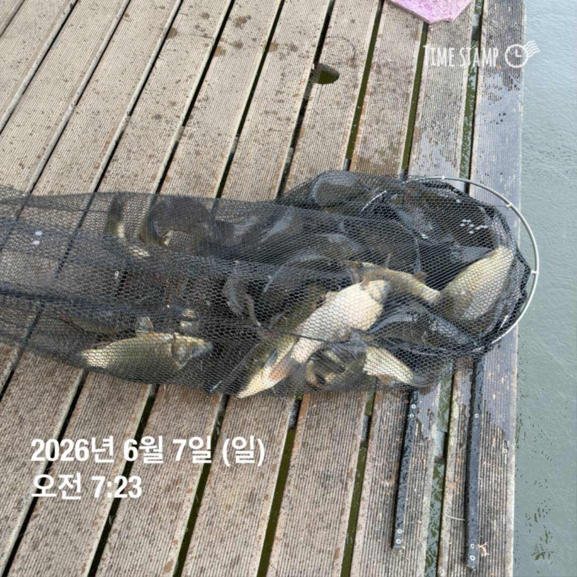 KakaoTalk_20260608_110734014_09.jpg