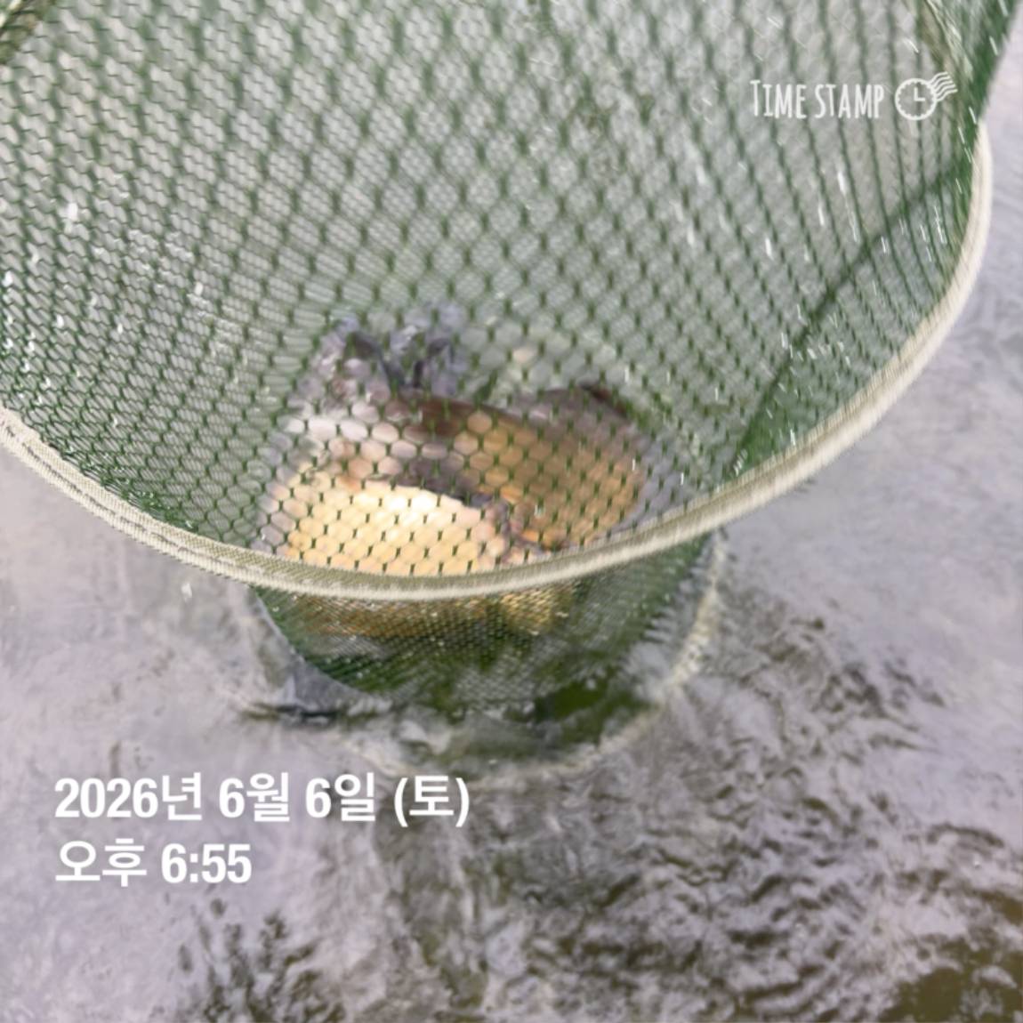 KakaoTalk_20260608_110734014_08.jpg
