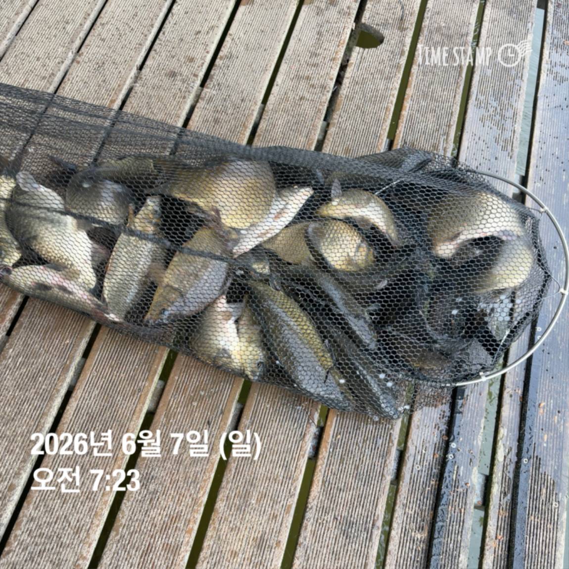 KakaoTalk_20260608_110734014_10.jpg