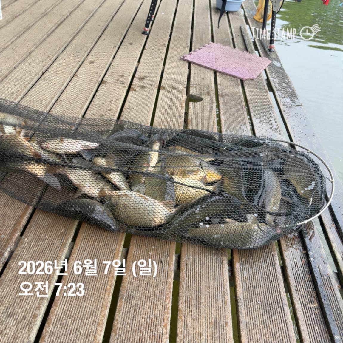 KakaoTalk_20260608_110734014_11.jpg