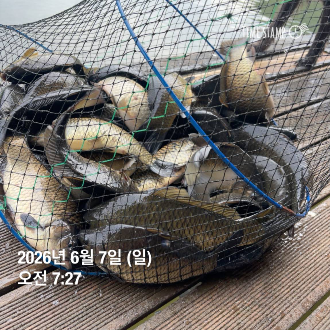KakaoTalk_20260608_110734014_13.jpg
