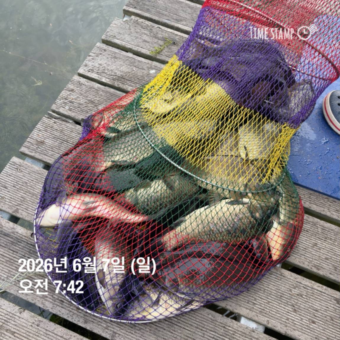 KakaoTalk_20260608_110734014_16.jpg