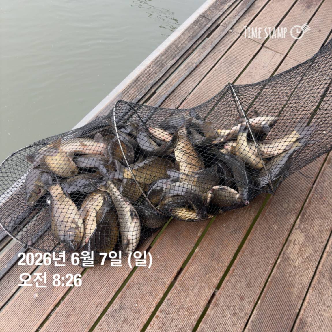 KakaoTalk_20260608_110734014_17.jpg