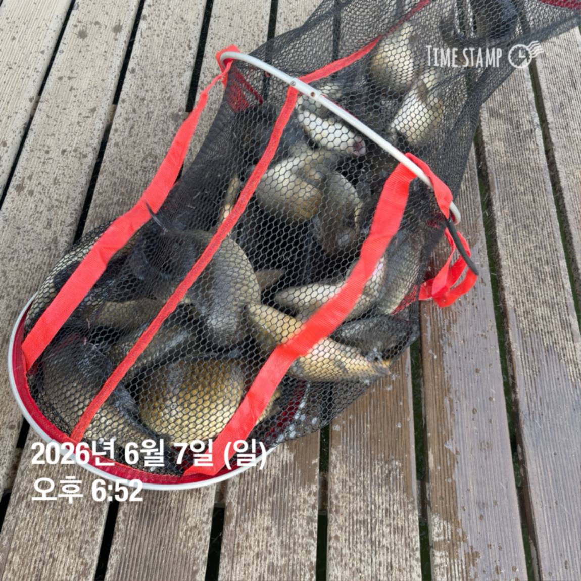 KakaoTalk_20260608_110734014_20.jpg