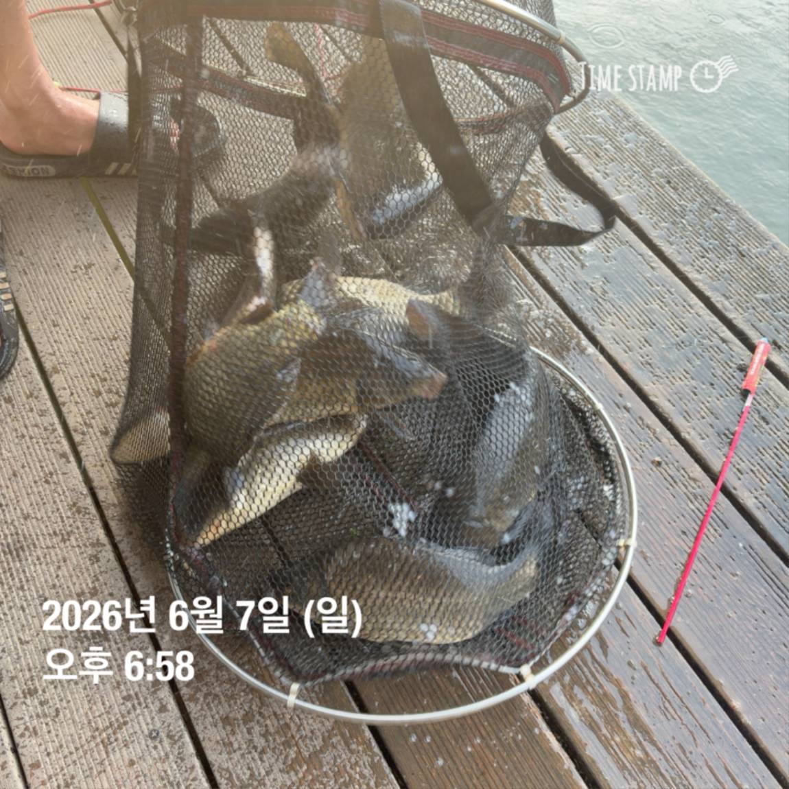 KakaoTalk_20260608_110734014_27.jpg