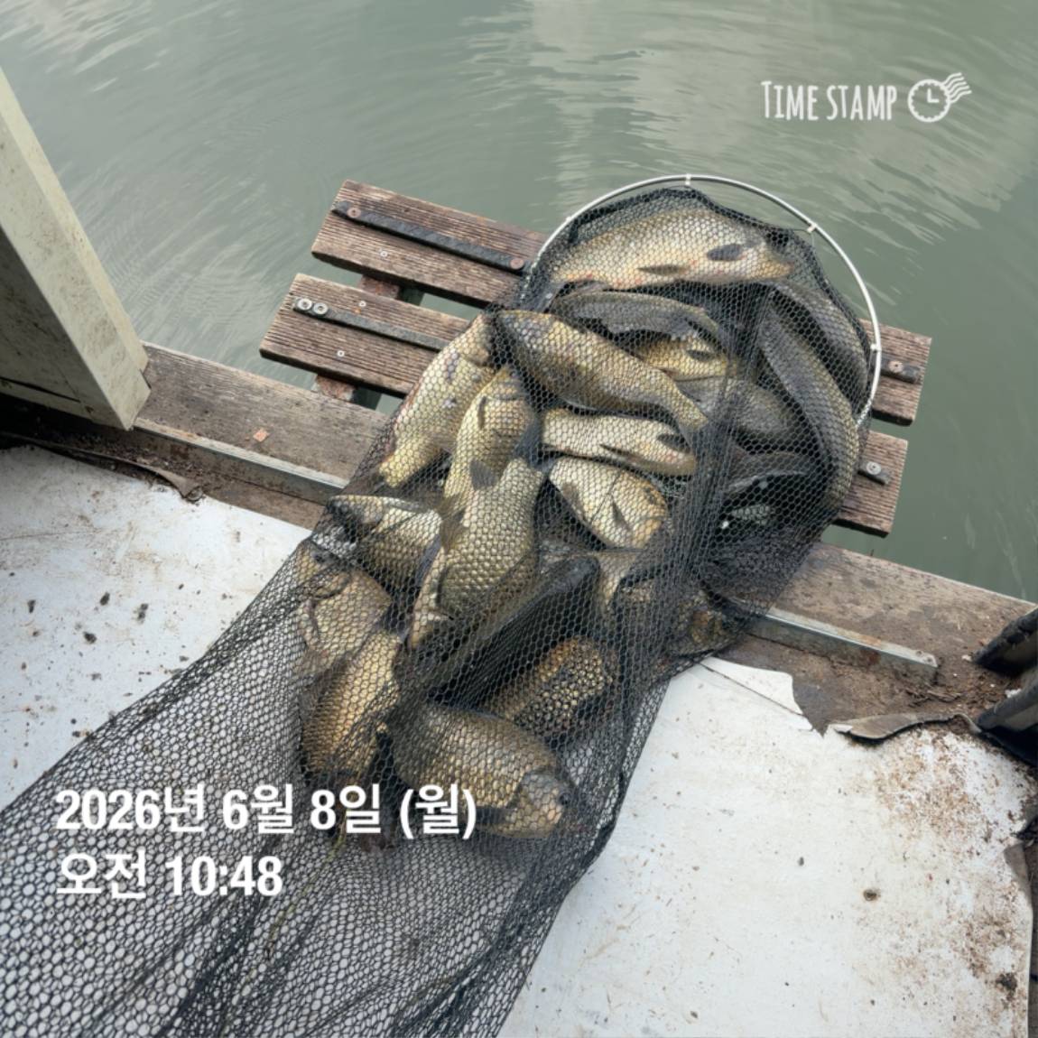 KakaoTalk_20260608_110741897.jpg