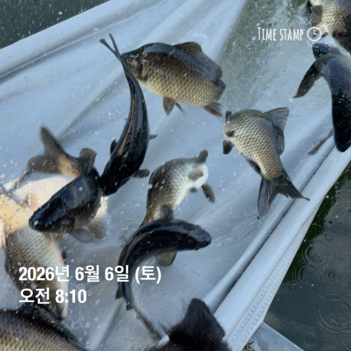 KakaoTalk_20260608_110741897_08.jpg