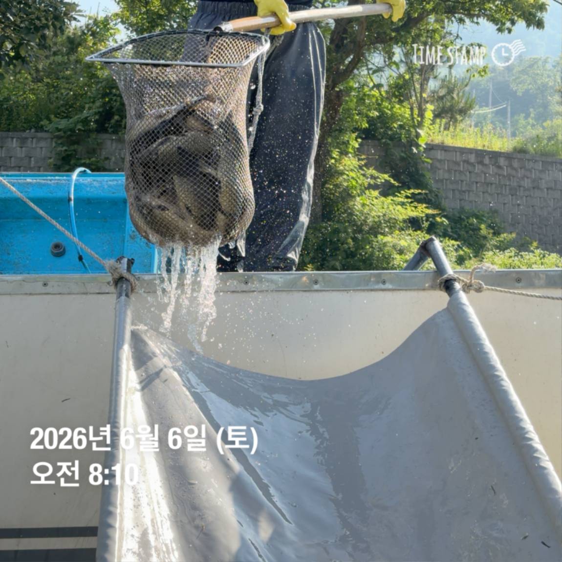 KakaoTalk_20260608_110741897_04.jpg