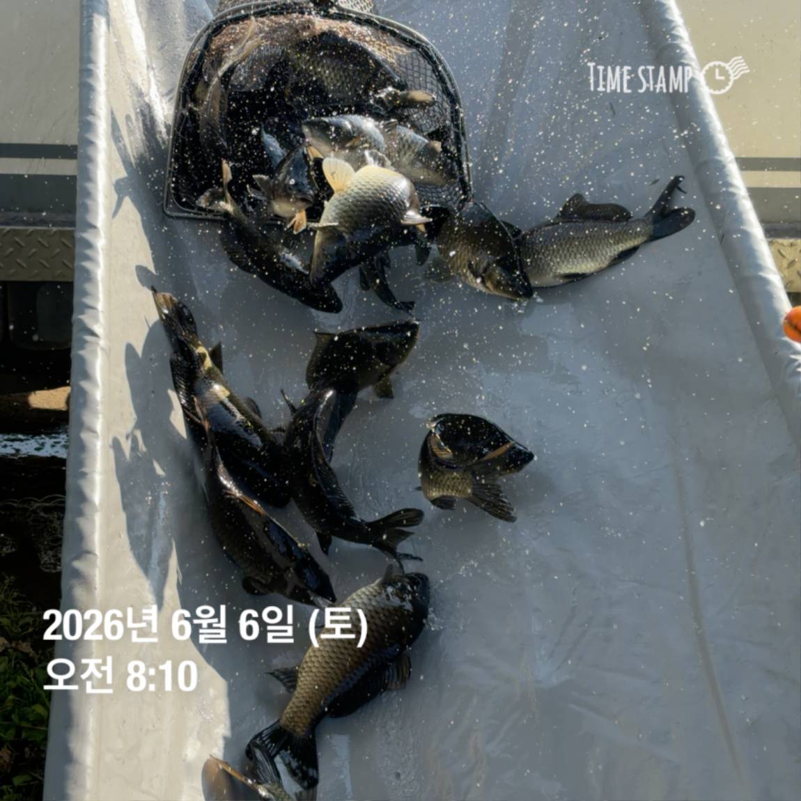 KakaoTalk_20260608_110741897_09.jpg