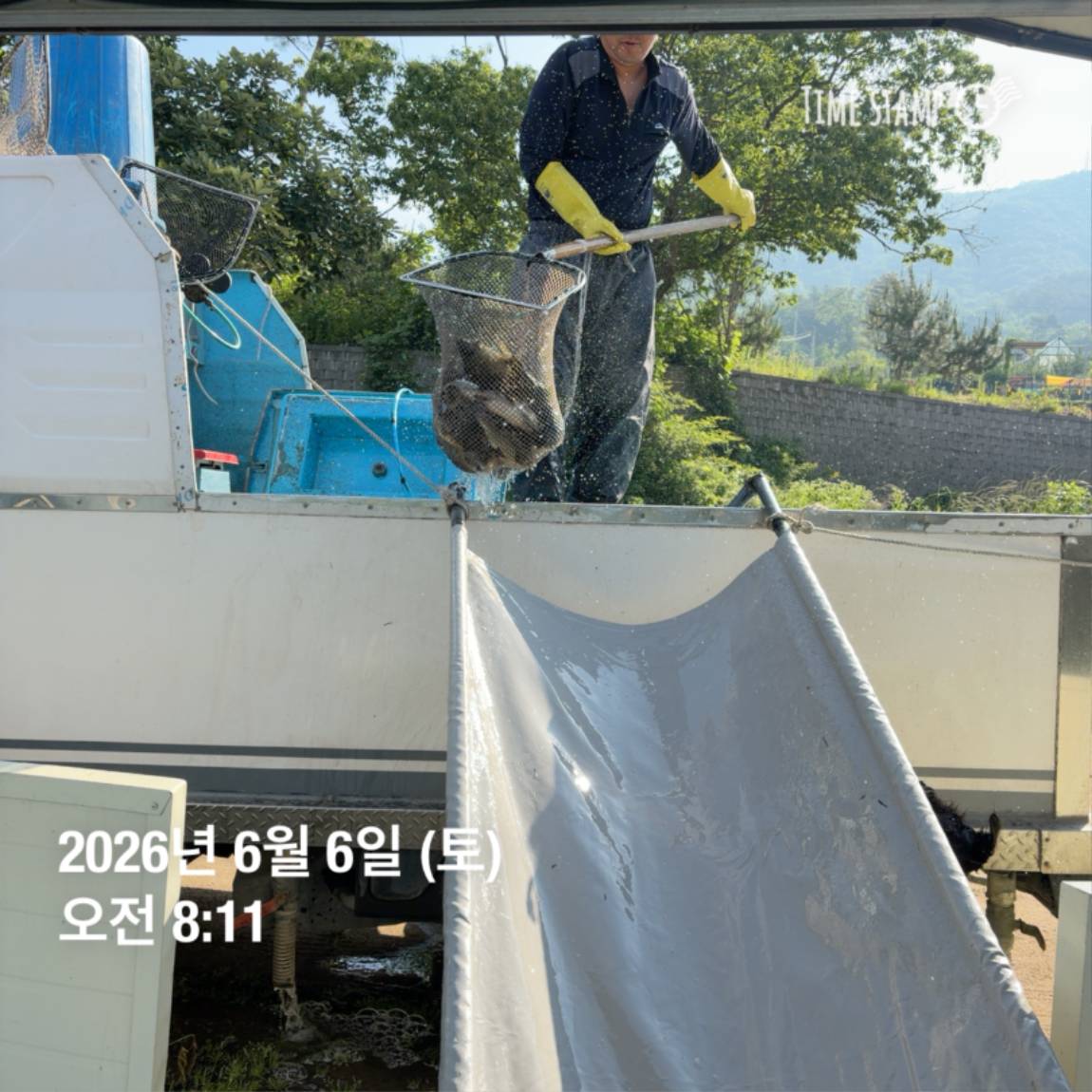 KakaoTalk_20260608_110741897_12.jpg