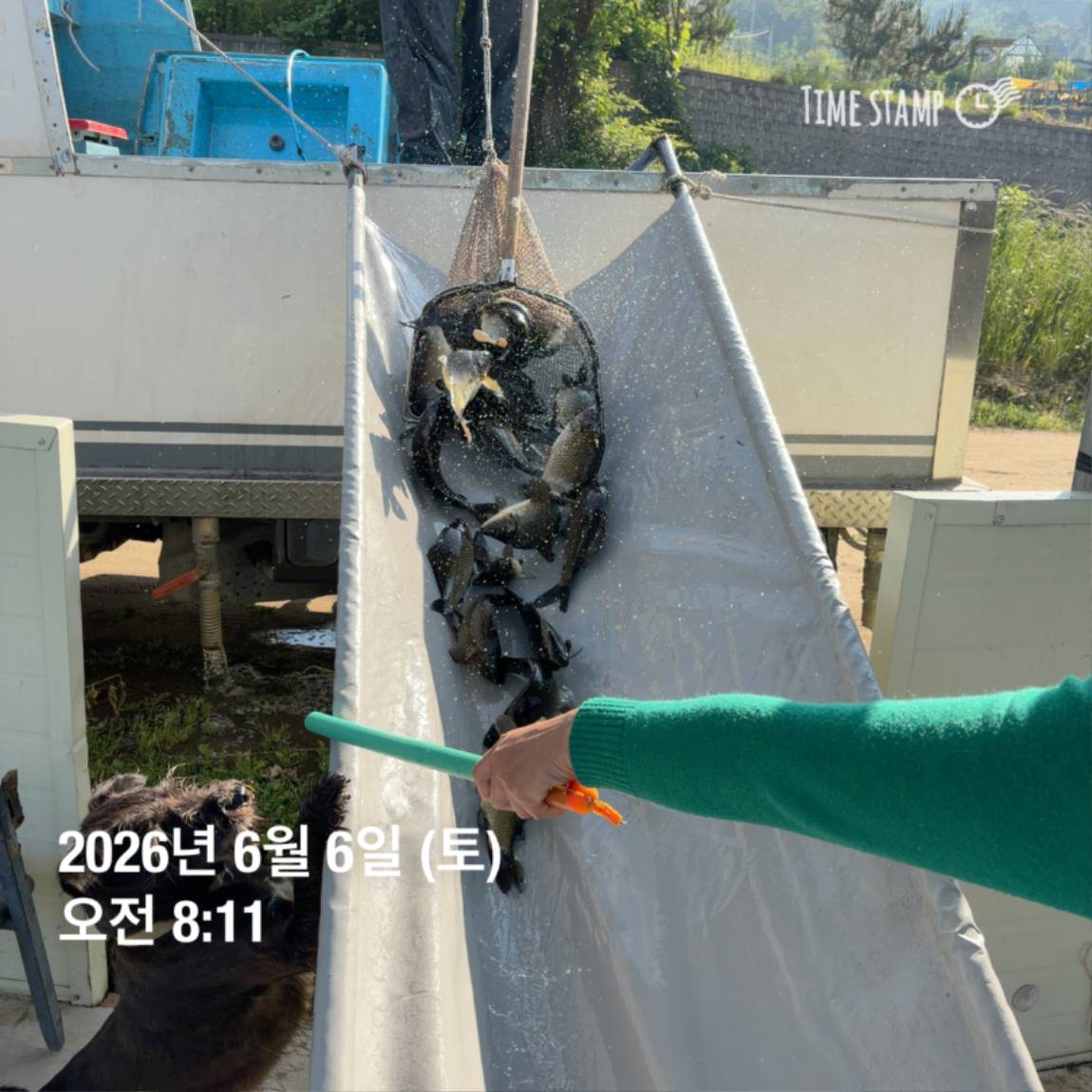 KakaoTalk_20260608_110741897_17.jpg