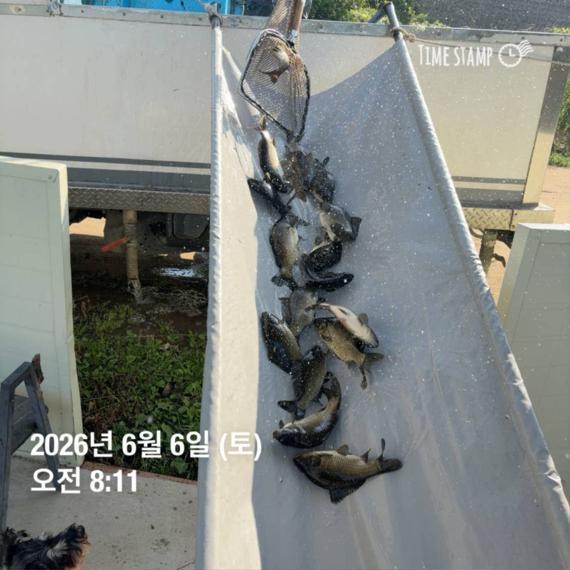 KakaoTalk_20260608_110741897_15.jpg