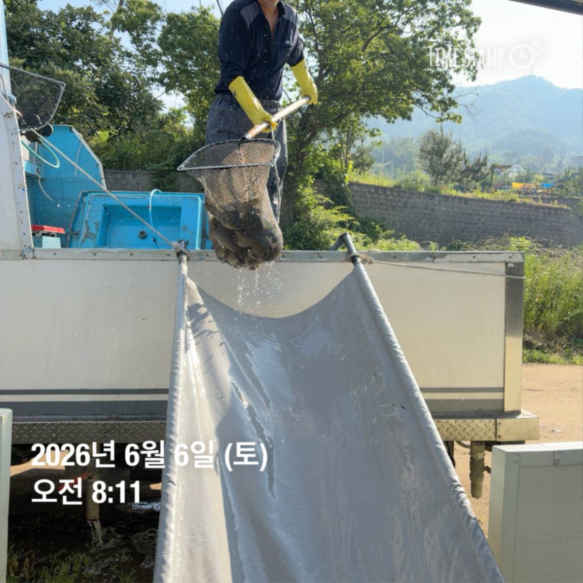 KakaoTalk_20260608_110741897_19.jpg