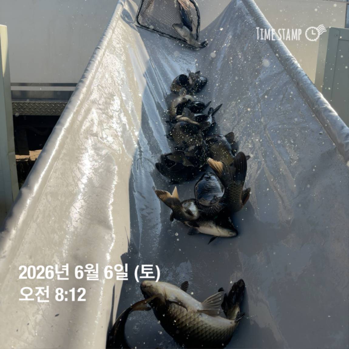 KakaoTalk_20260608_110741897_22.jpg