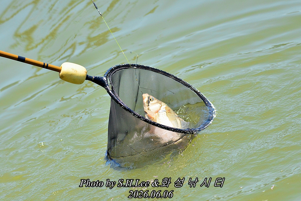 LSH_9206.JPG