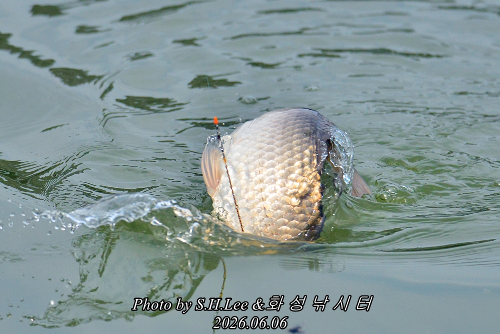 LSH_9238.JPG
