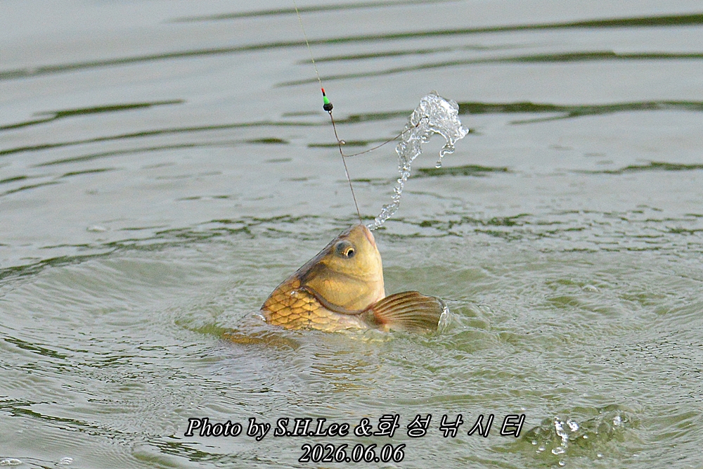 LSH_9350.JPG