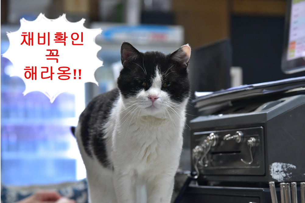 LEE_5018.JPG