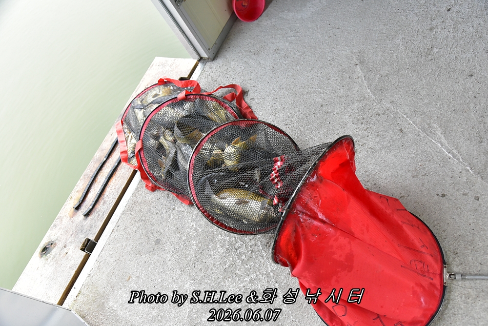 LEE_4989.JPG