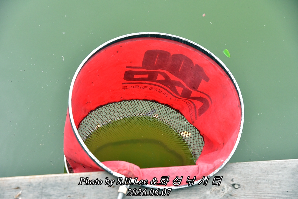 LEE_4993.JPG