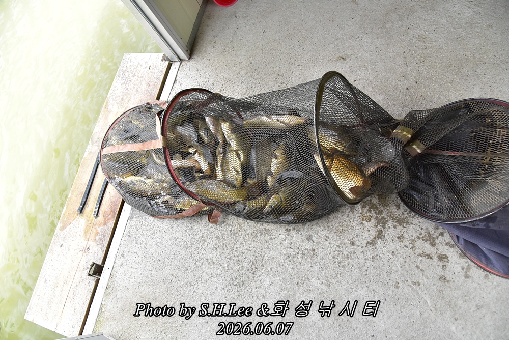 LEE_5050.JPG