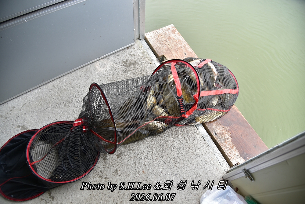 LEE_5135.JPG