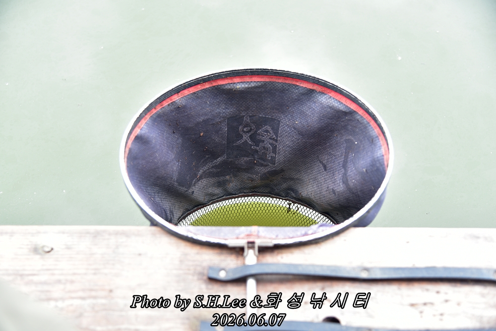 LEE_5145.JPG
