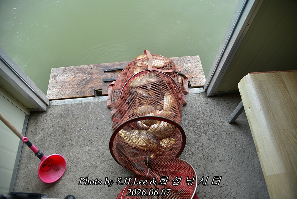 LEE_5154.JPG
