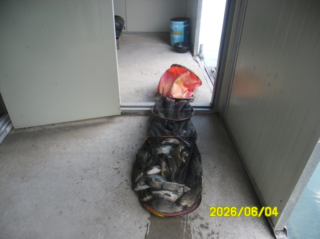 SAM_0230.JPG