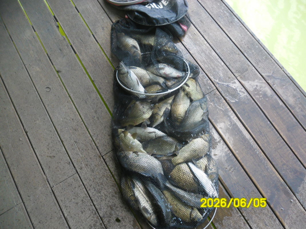 SAM_0245.JPG