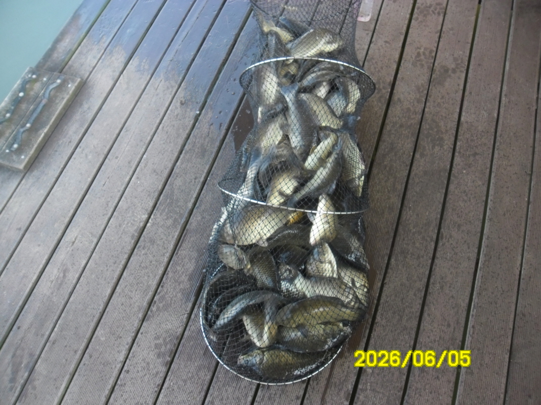 SAM_0253.JPG