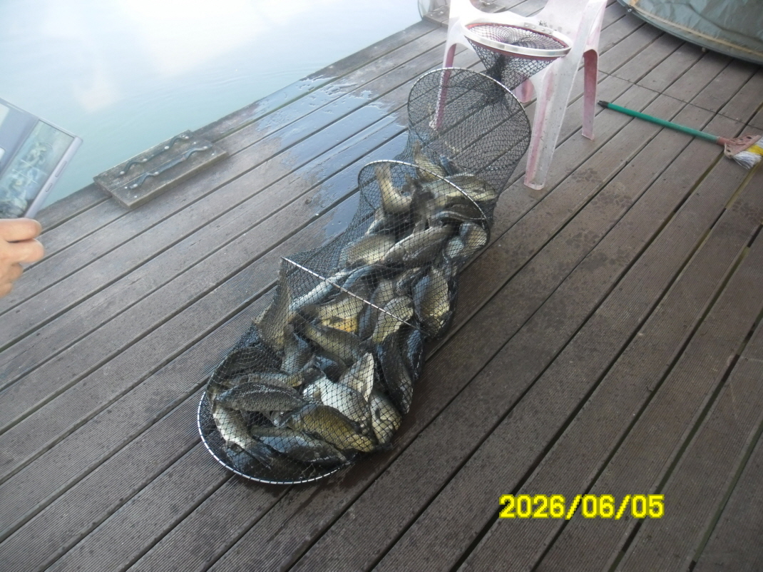 SAM_0252.JPG
