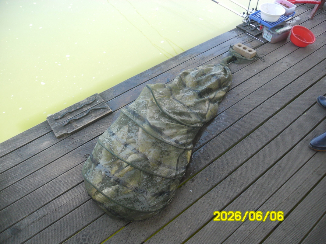 SAM_0255.JPG