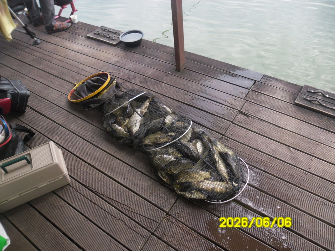 SAM_0267.JPG
