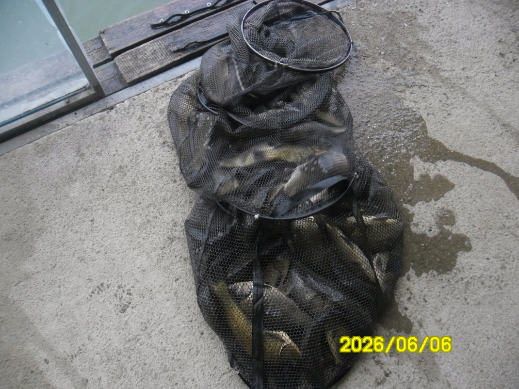 SAM_0329.JPG