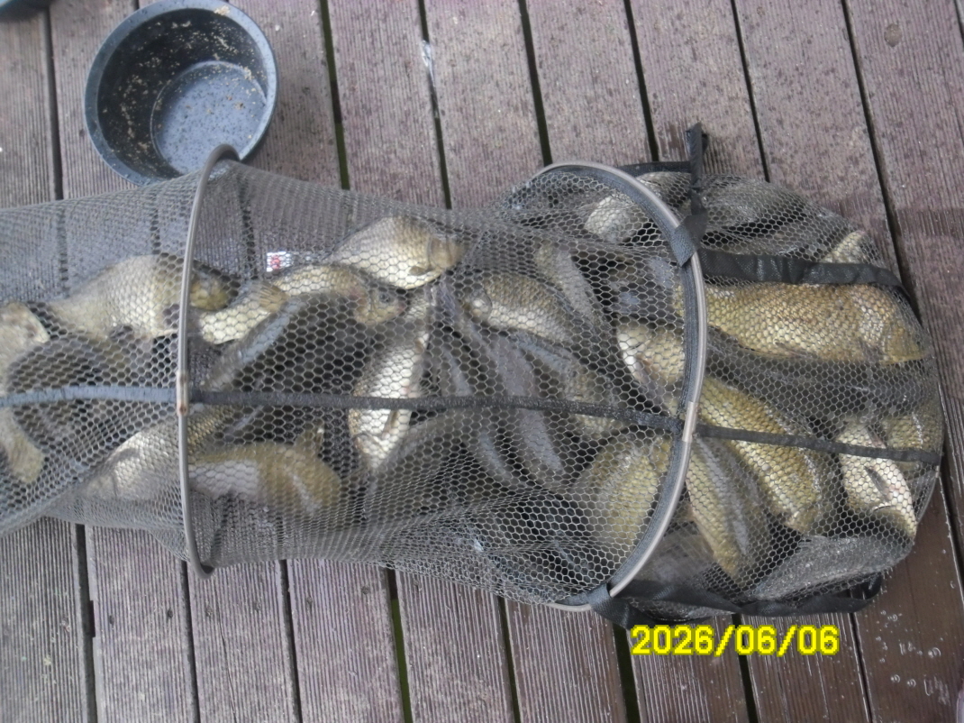SAM_0346.JPG