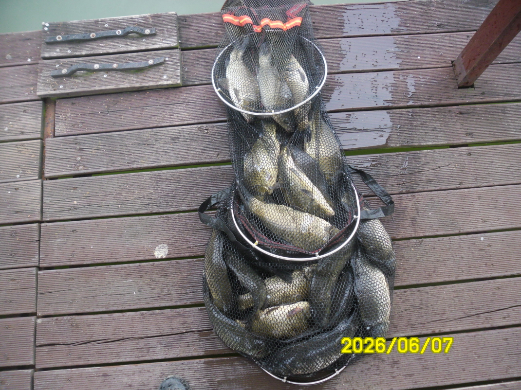 SAM_0355.JPG