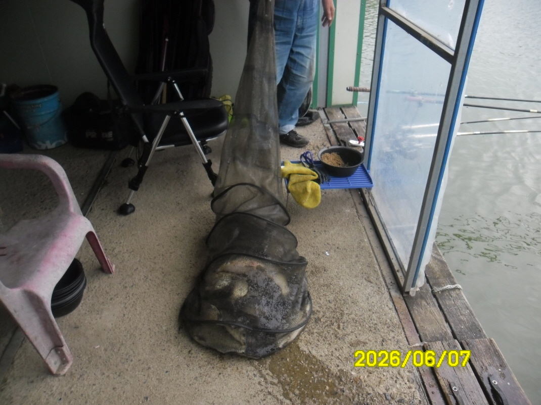SAM_0364.JPG