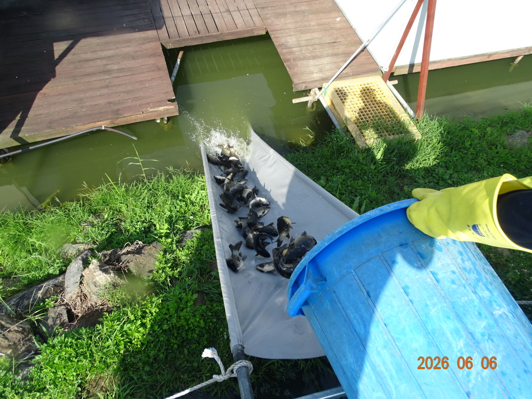DSC04452.JPG