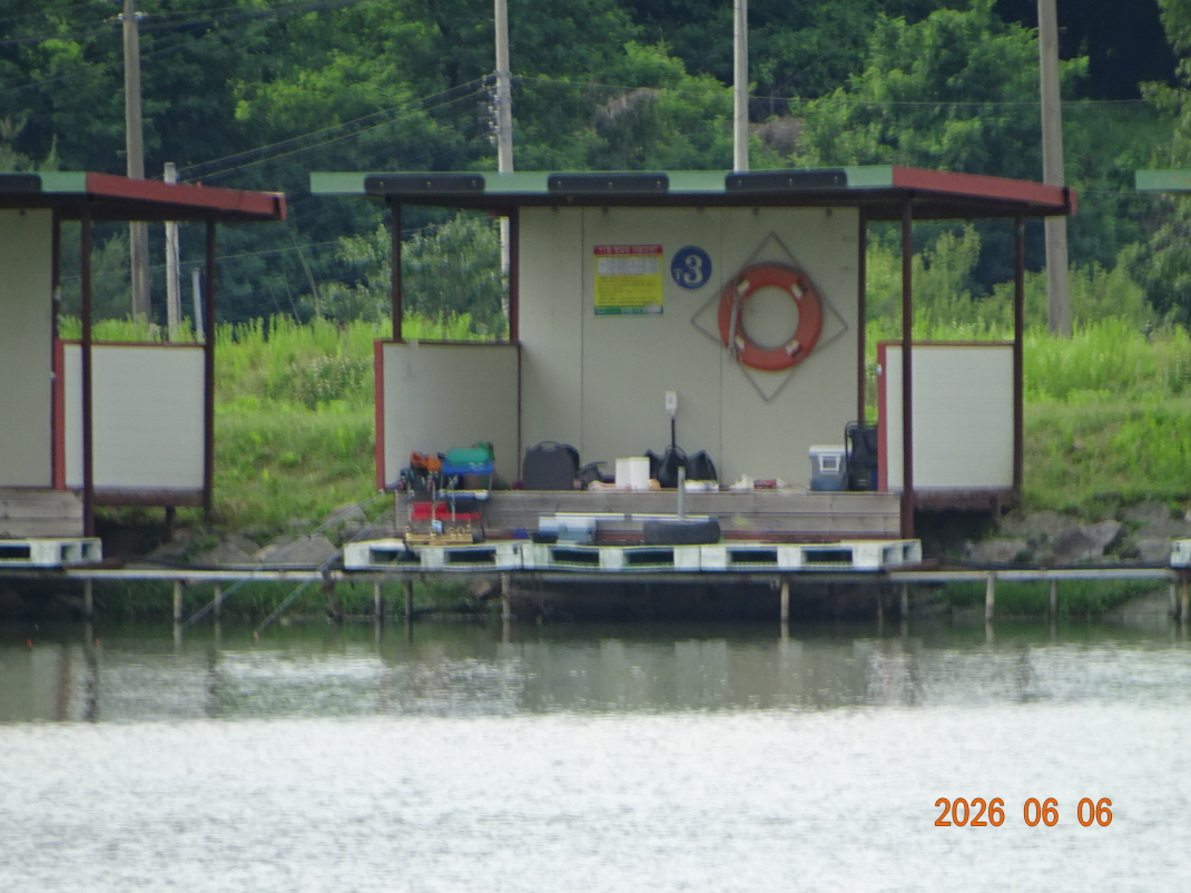 DSC04550.JPG