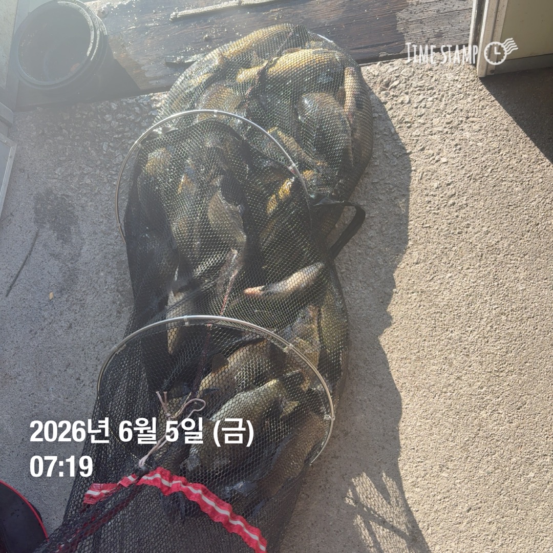 KakaoTalk_20260609_070214299_13.jpg