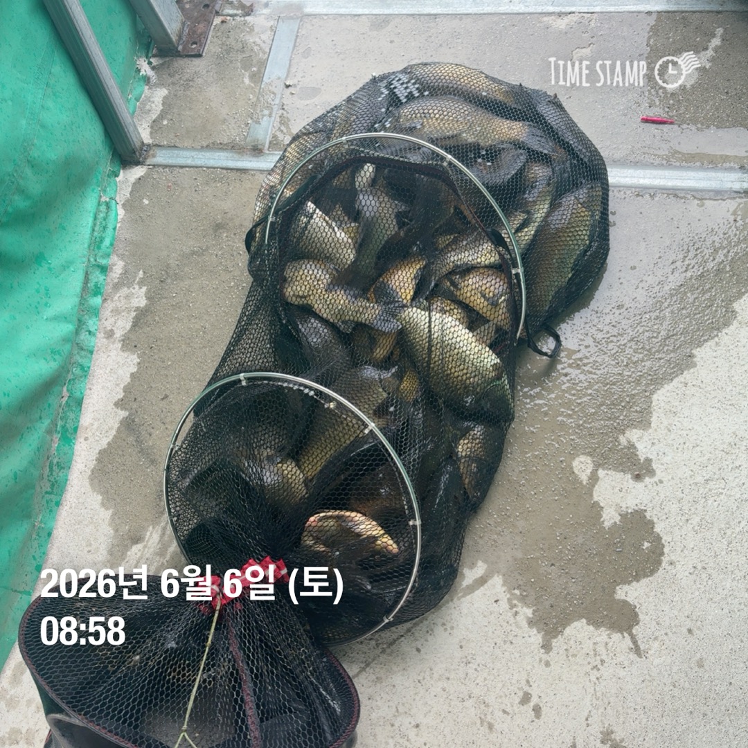 KakaoTalk_20260609_070214299_08.jpg